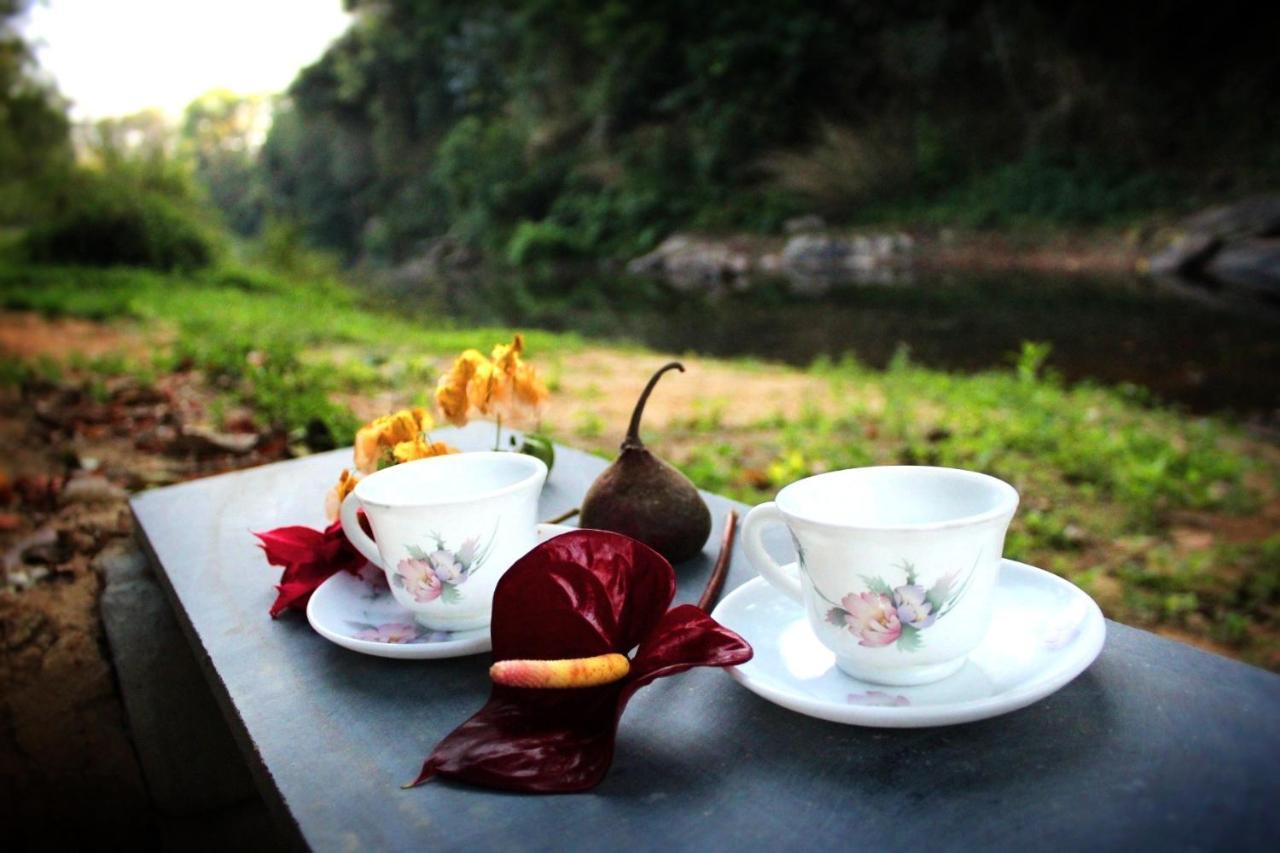 Ferienwohnung The Creek Coorg Ponnampet Exterior foto