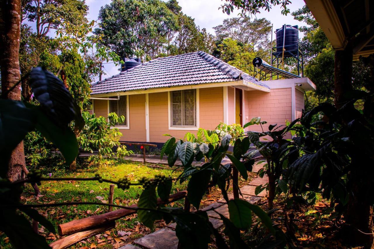 Ferienwohnung The Creek Coorg Ponnampet Exterior foto